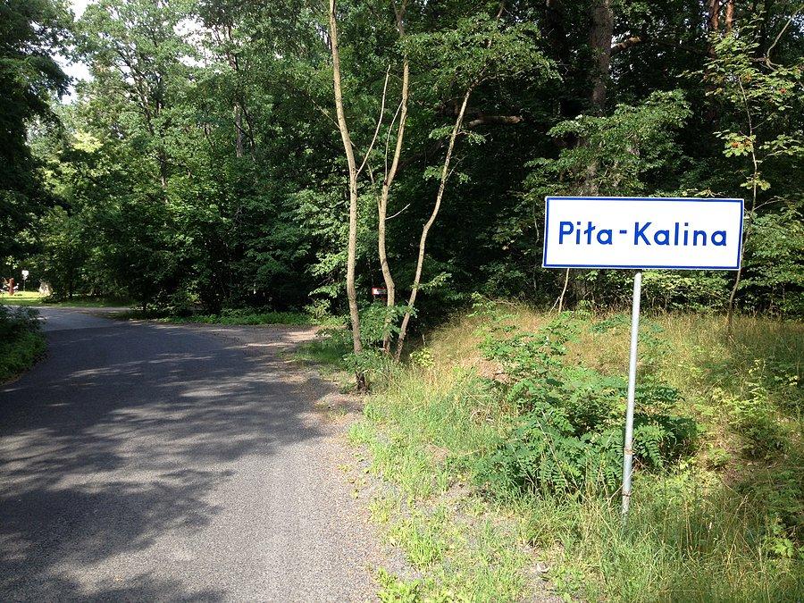 Piła Kalina