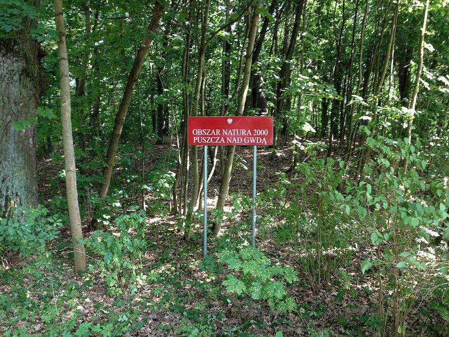 Obszar Natura 2000 - Puszcza Nad Gwdą