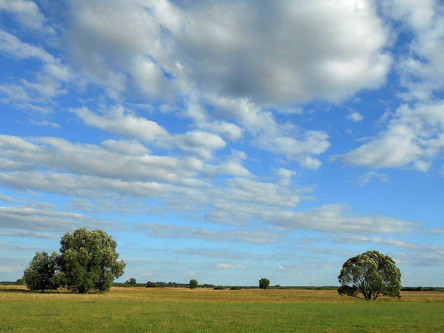 Niebo nad łąkami