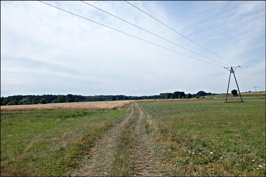 Łąki i pola