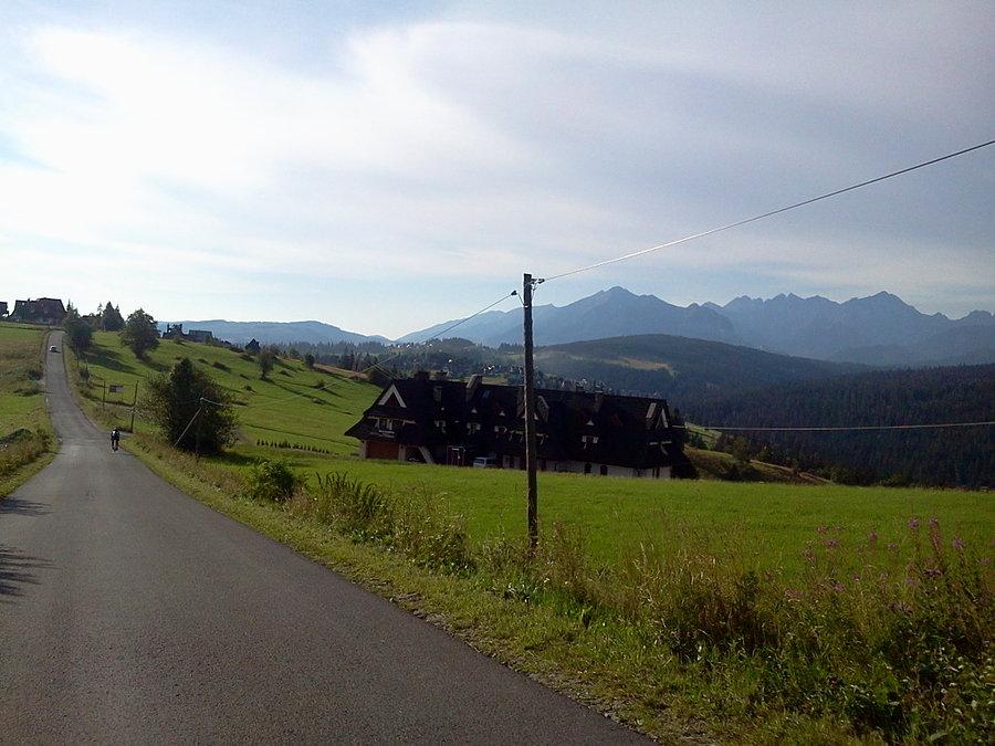 Kierunek Bukowina