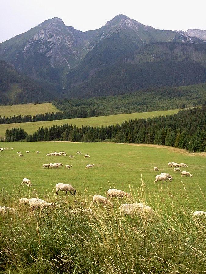 Bielskie Tatry