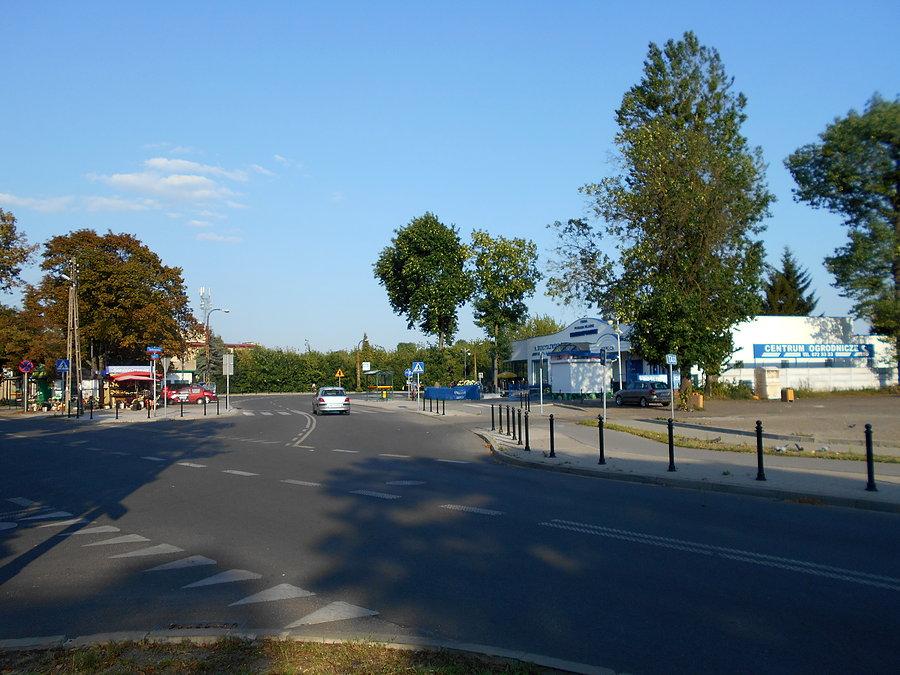 Biegunowa