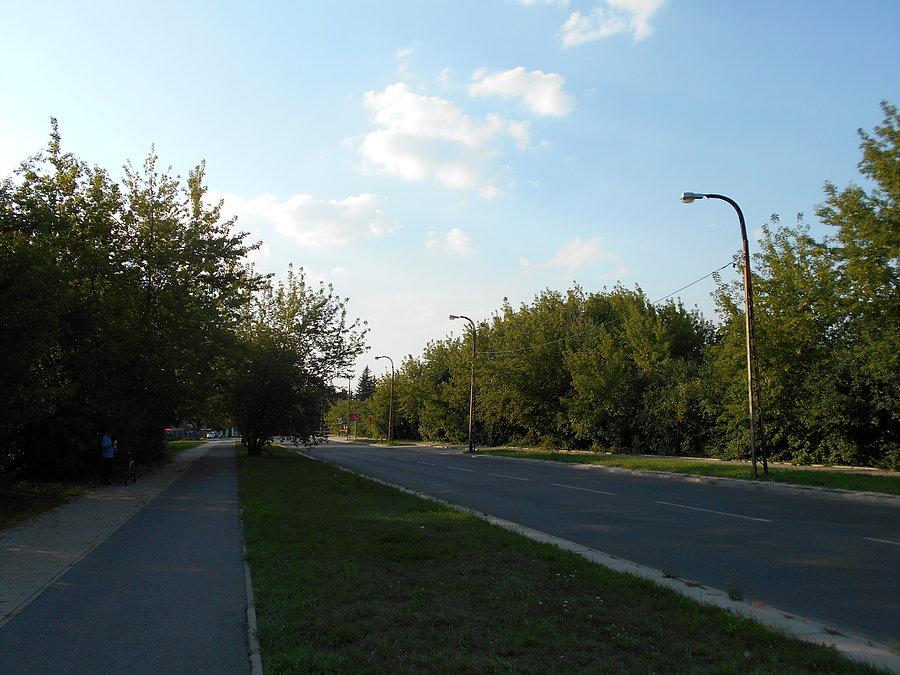 Biegunowa