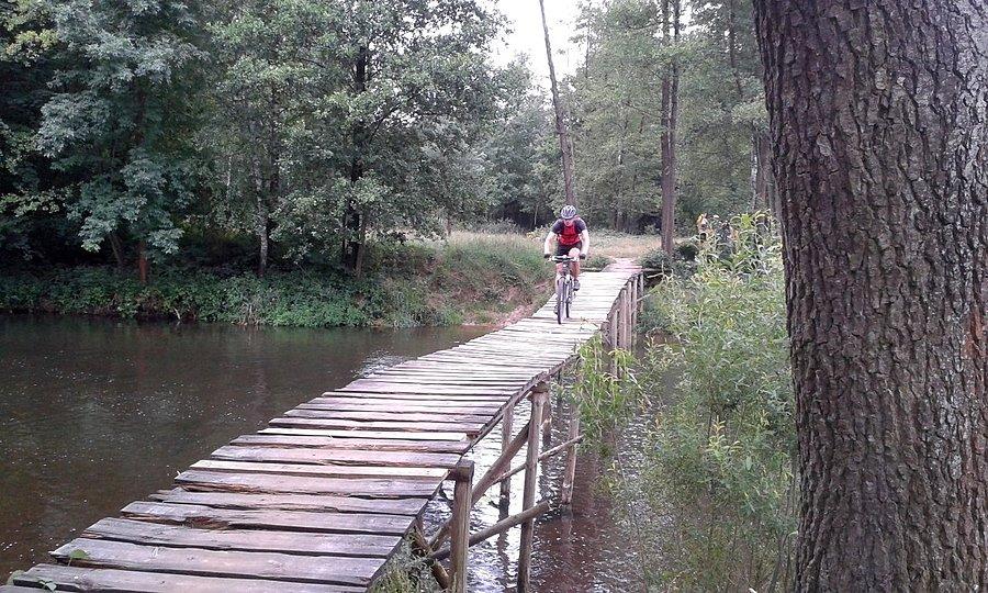 Przez mostek