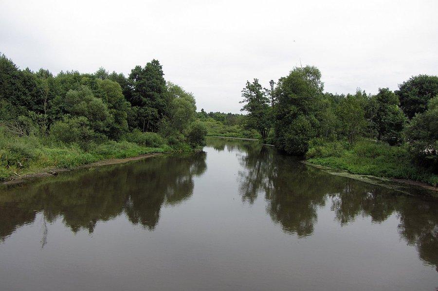Warta
