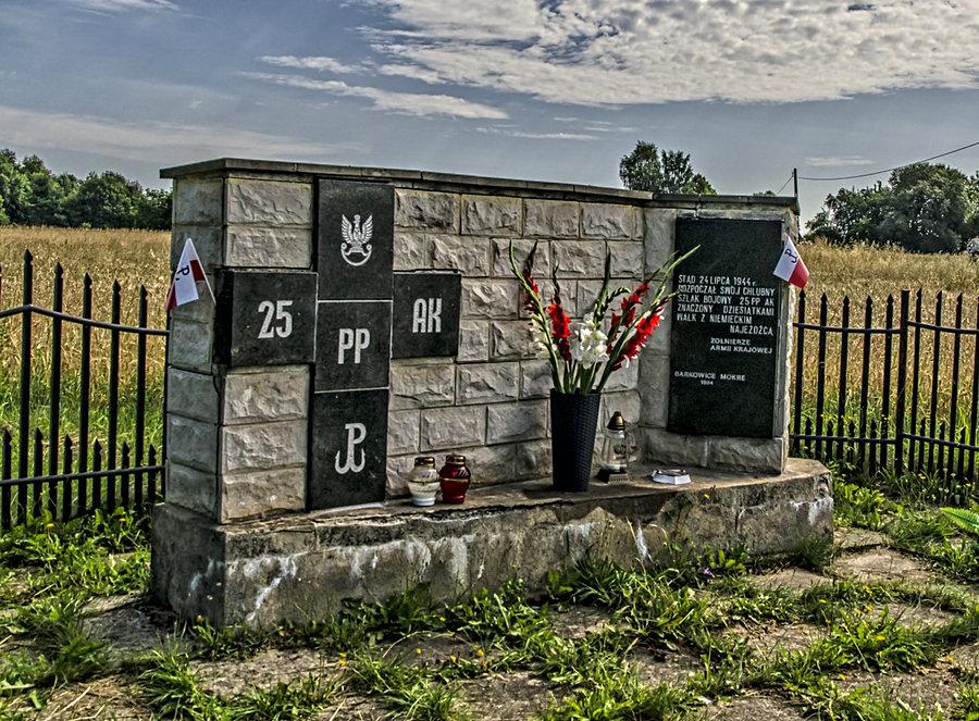 Niepozorny jest ten pomnik... można go pominąć myśląc że to pozostałość czegoś