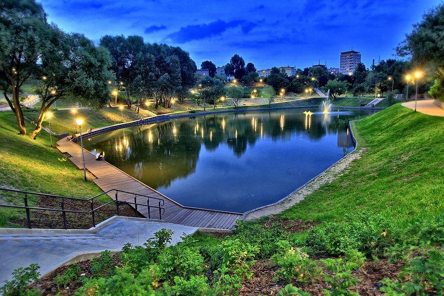 Staw Brodowski, Szczecin, ul.Wilcza