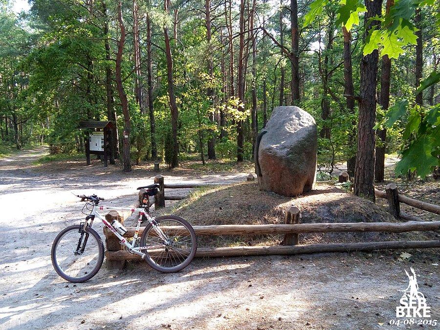 Kampinos