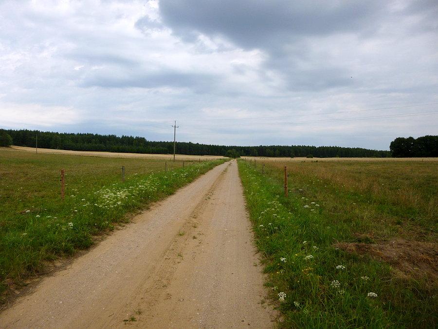 Wygląda na przejezdną