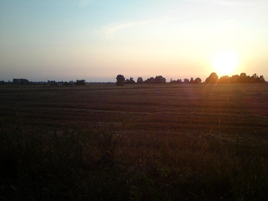 Pachniało ładnie