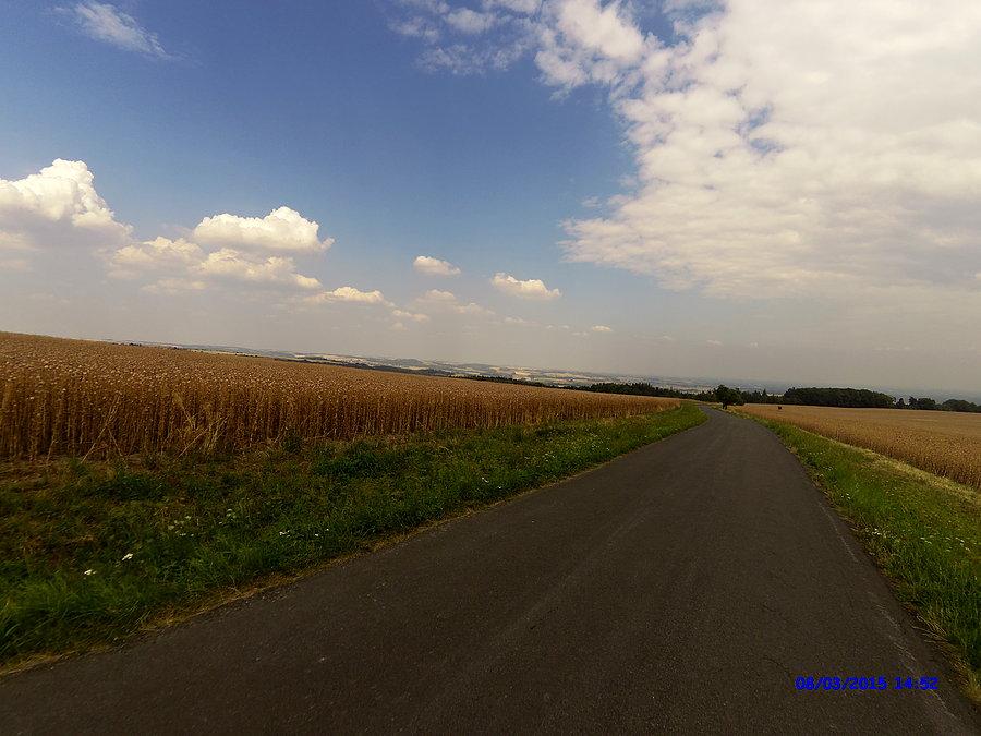 Piekne widoki wśród pola maków