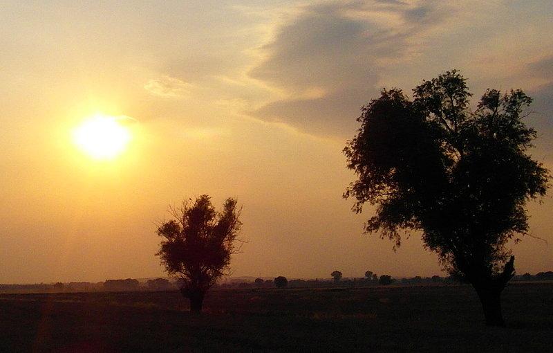 Żuławy gdańskie z Dawidem
