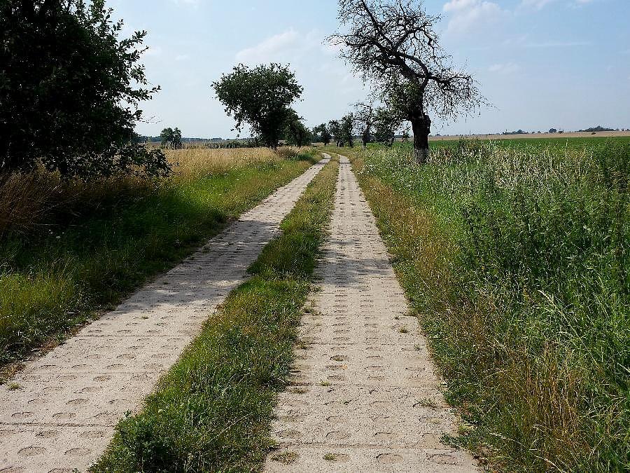 Płyty jumbo do okolic Lubiatowa
