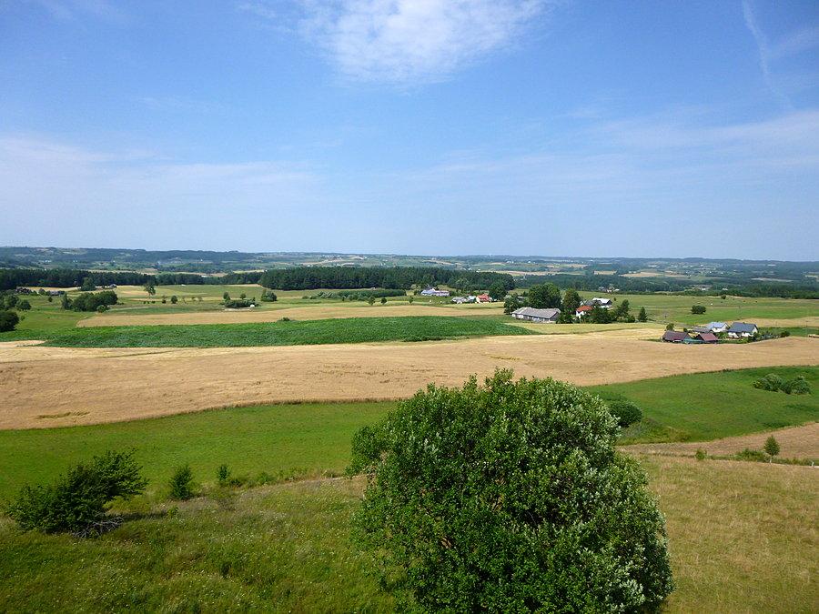 Trochę płasko