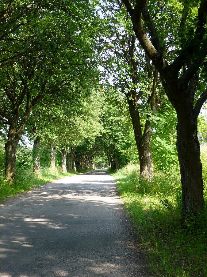 Dojazd do Stańczyków