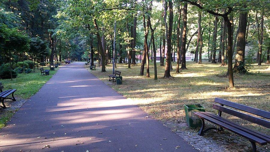 Prawie zero ludzi w parku na Zadolu