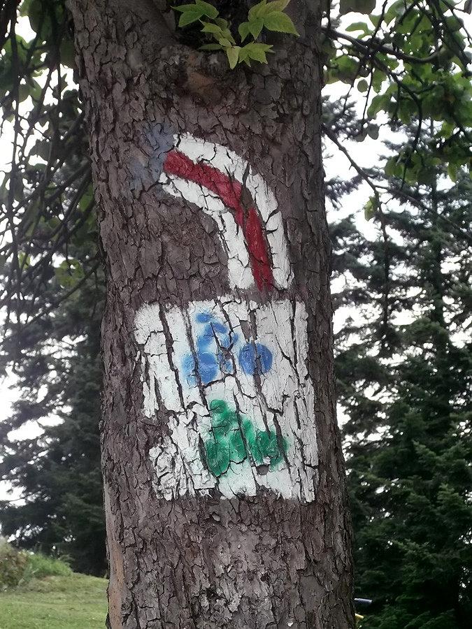 Na podjeździe