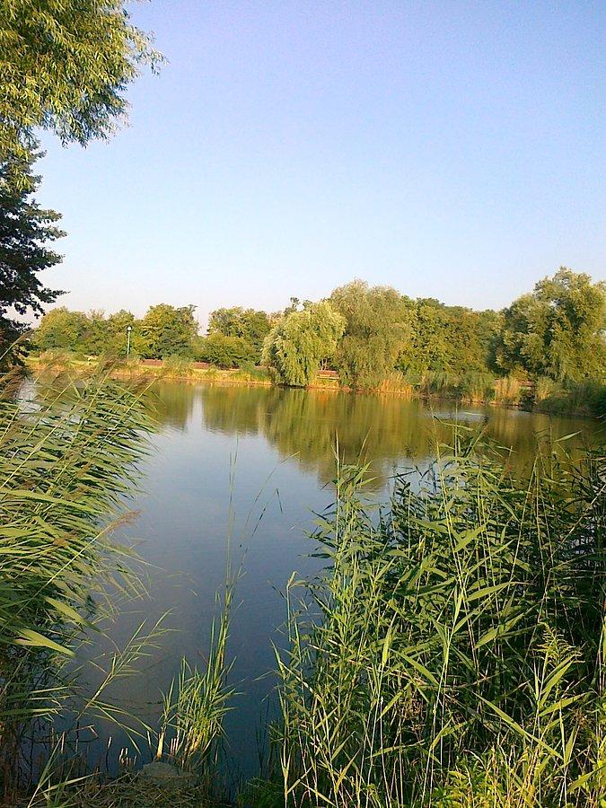 Staw w Zieonkach