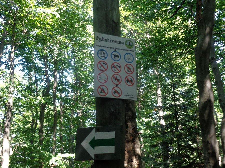 Niby nie wolno tam zjeźdzać ??