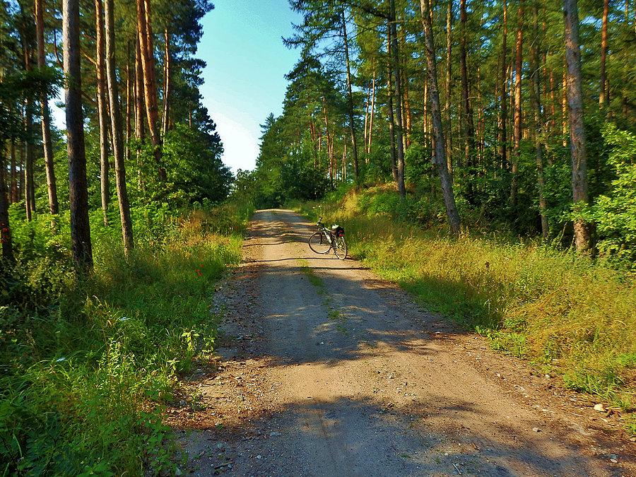 Poranek na rowerze. Tczew i jego okolice