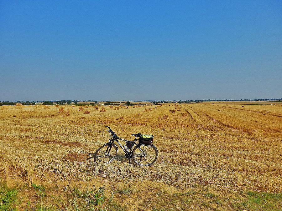 Poranek na rowerze. Tczew i jego okolice