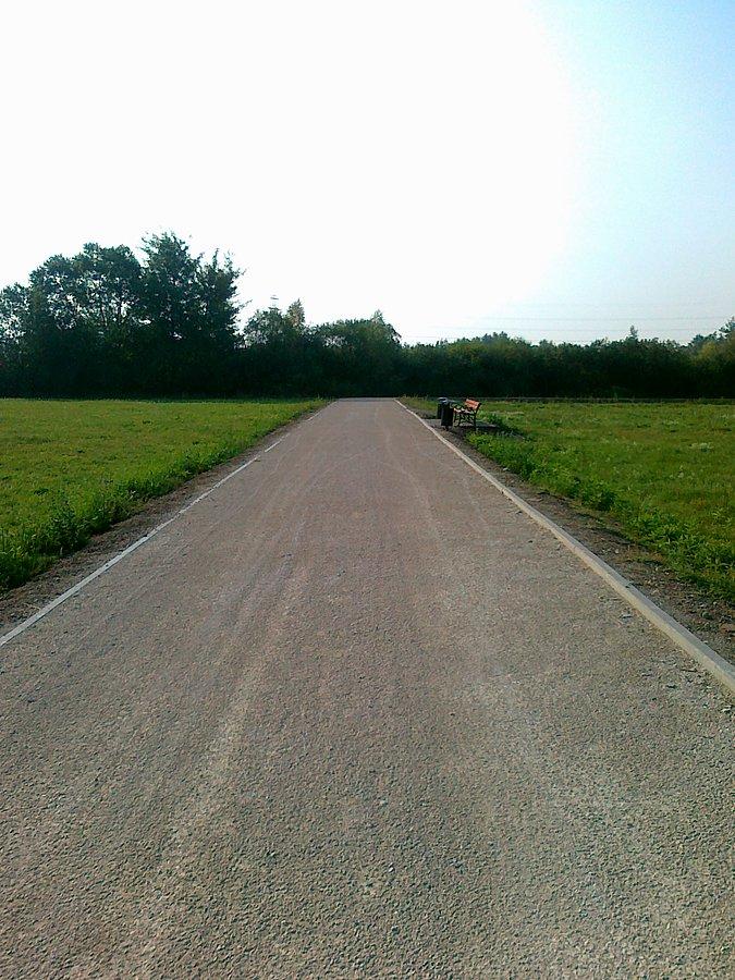 Potem przez pola
