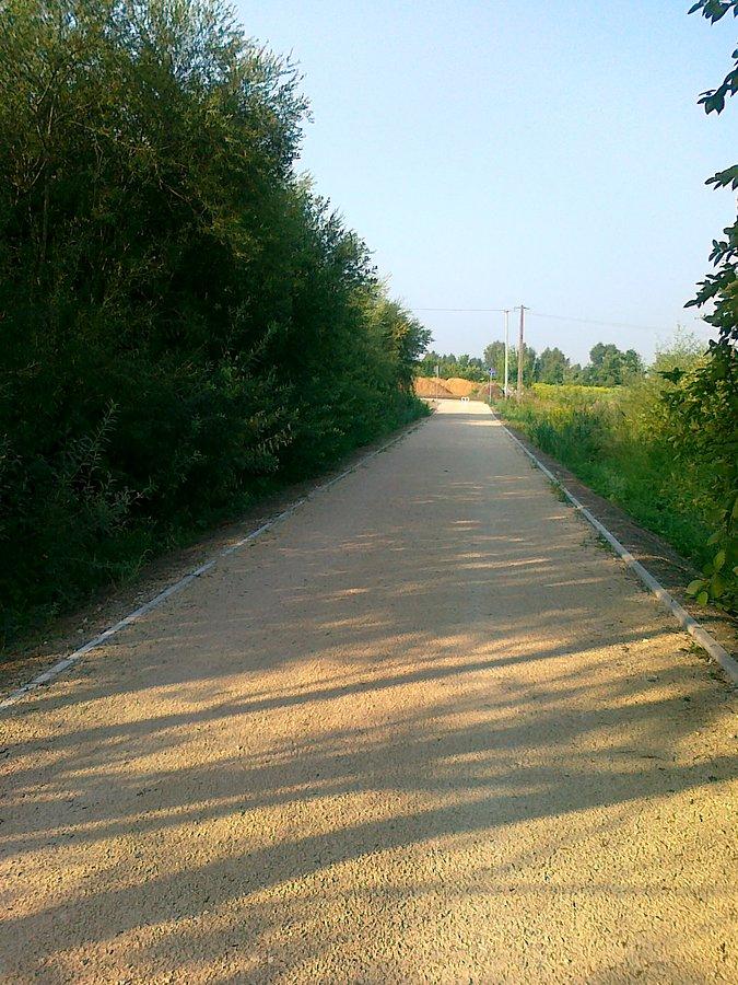 Skręca przy zaroślach
