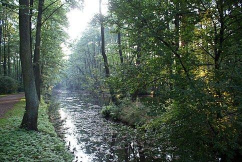 W głębokim cieniu w Rezerwacie Niebieskie Źródła, nawet dziś, o tej porze jest gorąco