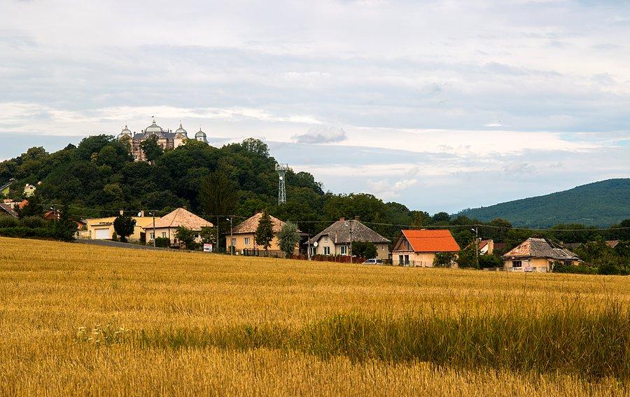 Jakiś pałac schowany na góreczce