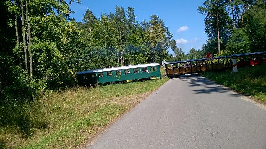 Ciuchcia w okolicy nadleśnictwa w Mrozach