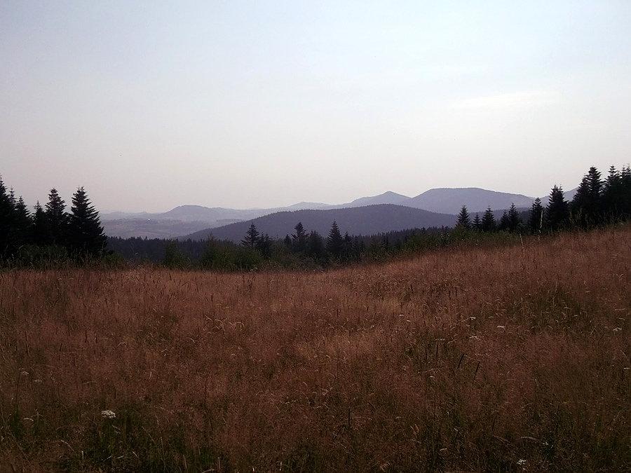 Widoczki