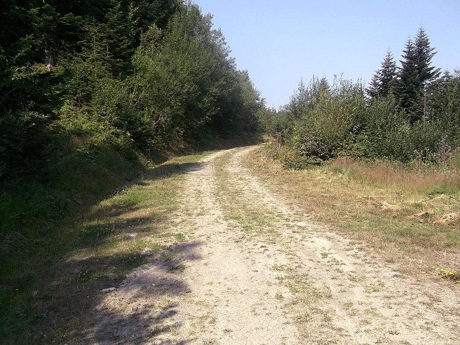 Szutrówka