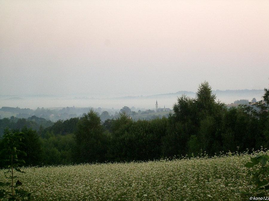 Widok z podjazdu na Ostry Dział w kierunku kościoła w Futomie
