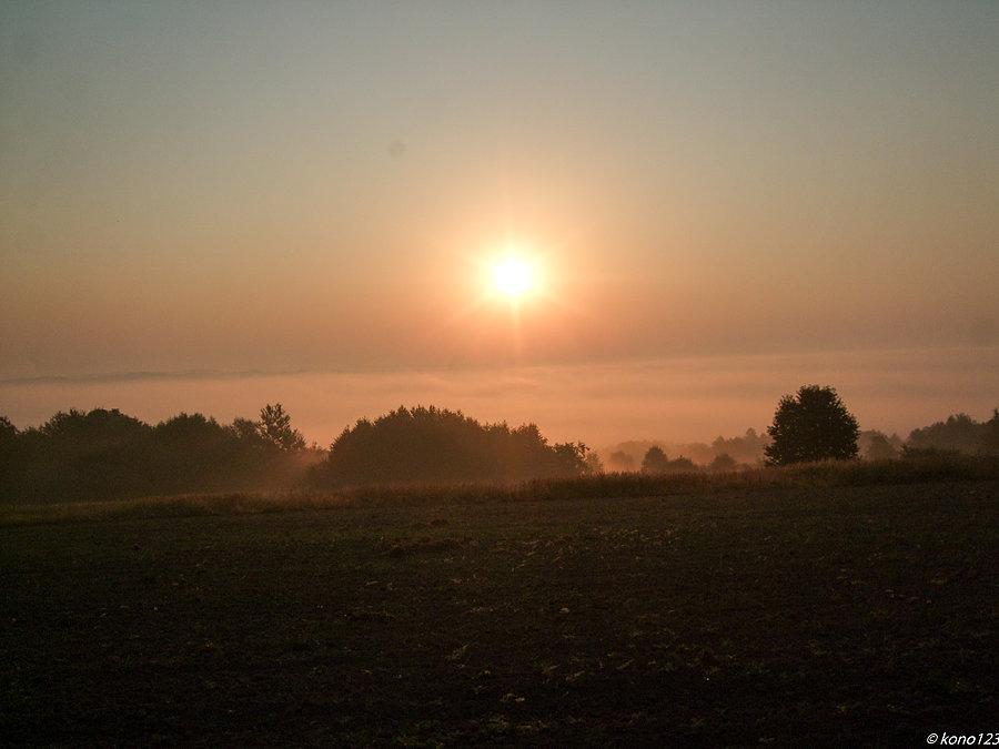 Dynów ul. Działowa widok na dolinę Sanu