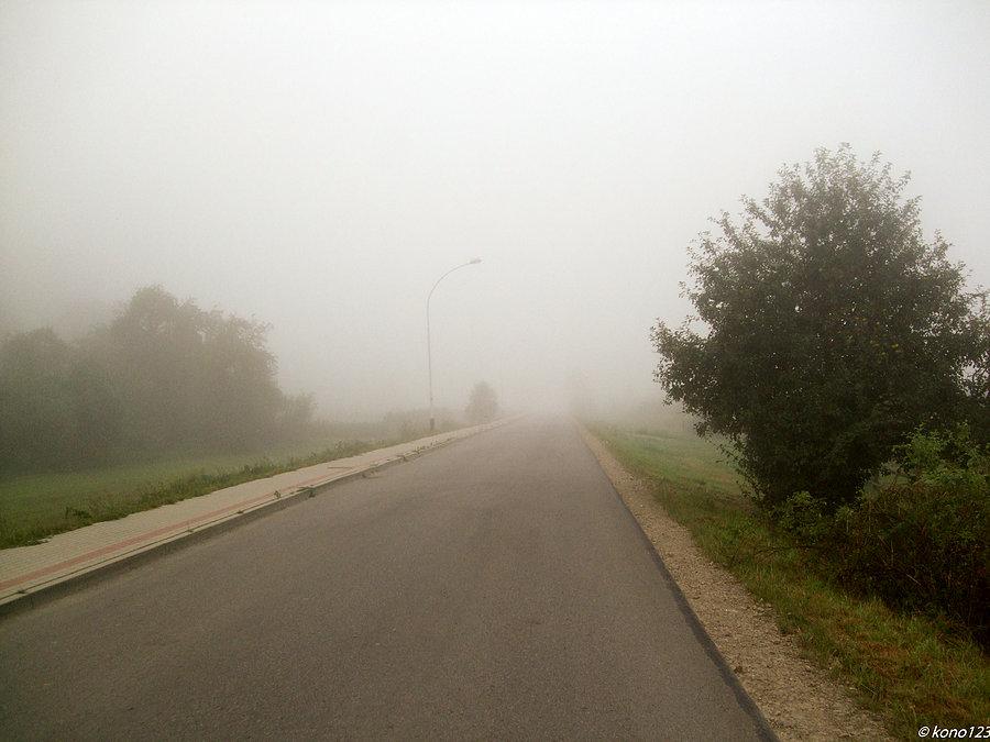 Droga w kierunku Dąbrówek z gęstą mgłą