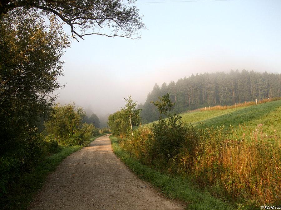 Początek drogi przez Pasmo Krztowa, początek szutrowy
