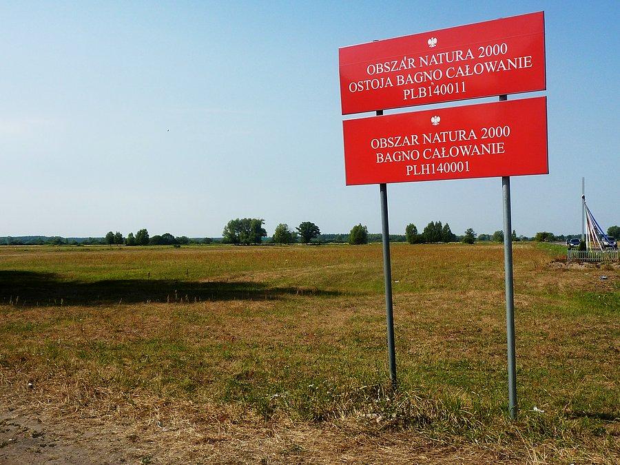 Bagno Całowanie - całkiem ładne miejsce, niezła nazwa i... najstarsze ślady bytności ludzkiej na Mazowszu