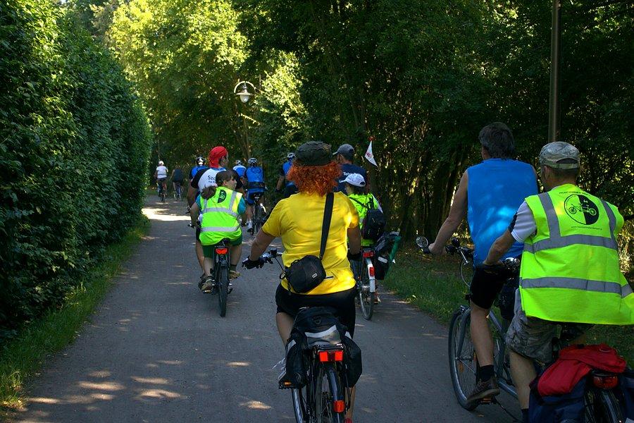 W drodze na Polanę Sportową