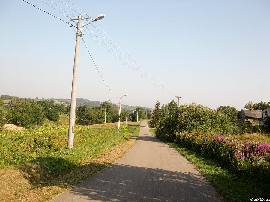 Dylągowa zjazd w dół w kierunku Sanu