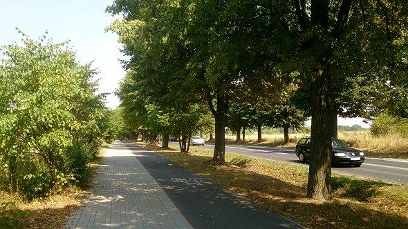 Ścieżka rowerowa