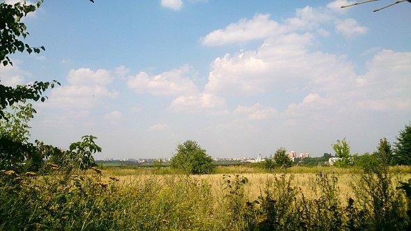 Lublin zza krzaków