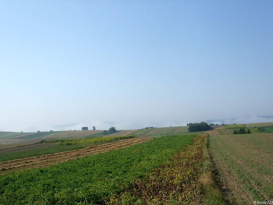Bachórzec droga za kościołem w kierunku Kosztowej, widać mgłę nad Sanem
