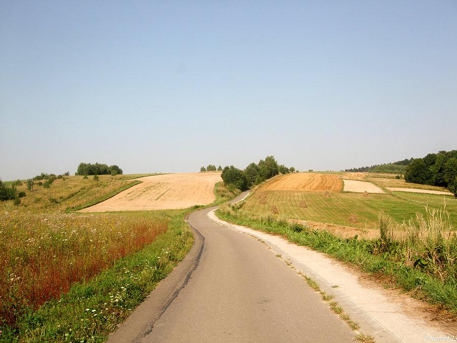 Laskówka w kierunki lasu i Szklar