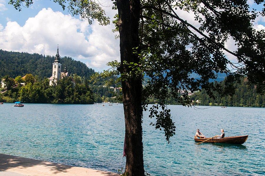 Nad jeziorem Bled
