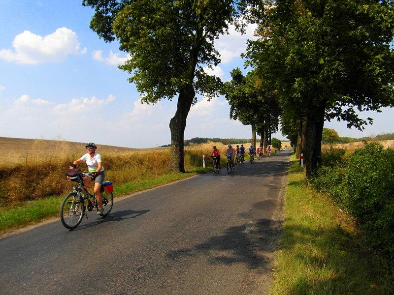 Xvii rajd kociewsko borowiacki