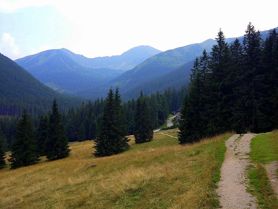 Polana Chochołowska