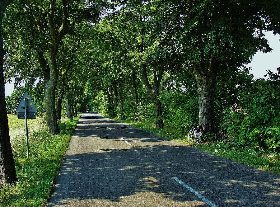 Wycieczka nad jezioro, do Borówna