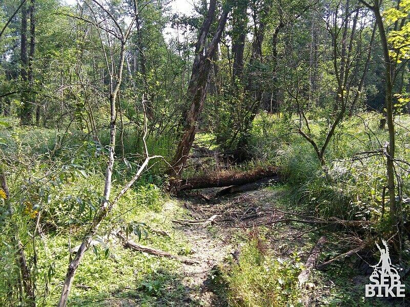 Kampinos