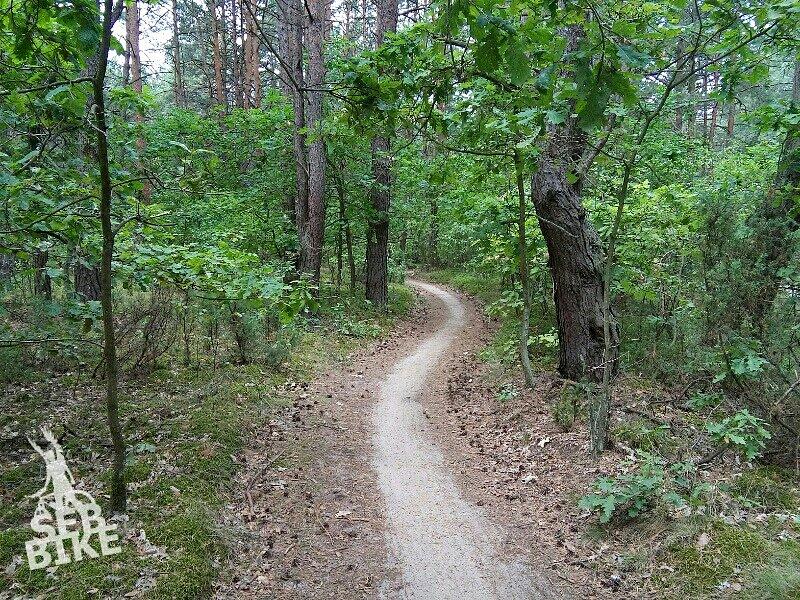 Kampinos